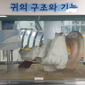 프로그램 이미지
