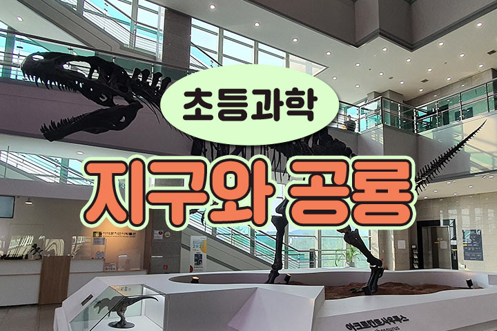 프로그램 이미지
