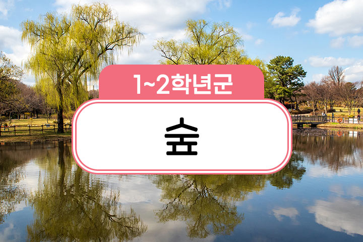 프로그램 이미지