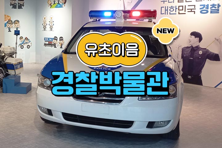 프로그램 이미지