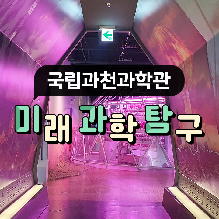 프로그램 이미지